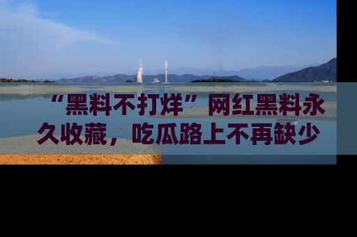 “黑料不打烊”网红黑料永久收藏,吃瓜路上不再缺少惊喜与乐趣