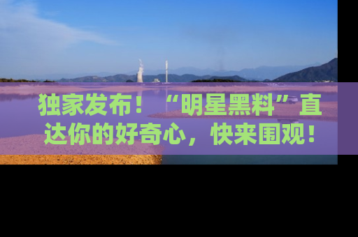 独家发布！“明星黑料”直达你的好奇心，快来围观！