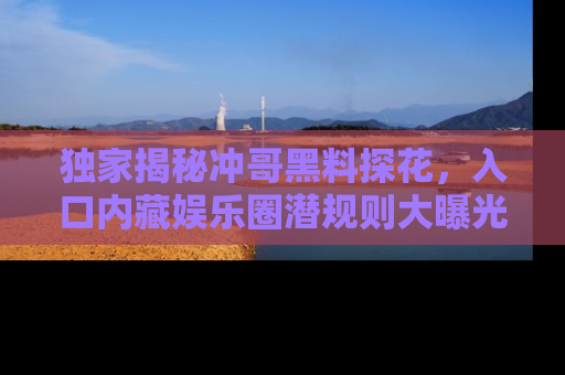 独家揭秘冲哥黑料探花，入口内藏娱乐圈潜规则大曝光