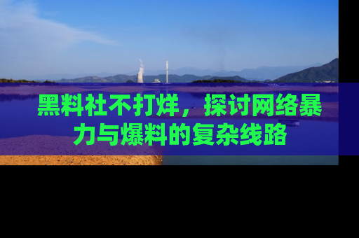 黑料社不打烊，探讨网络暴力与爆料的复杂线路
