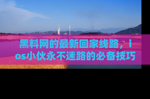黑料网的最新回家线路，ios小伙永不迷路的必备技巧！