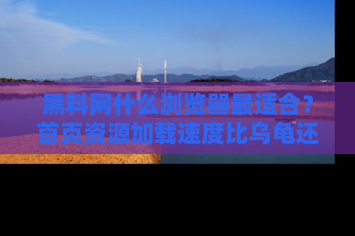 黑料网什么浏览器最适合？首页资源加载速度比乌龟还慢的体验真心吐槽！