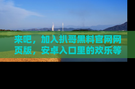 来吧，加入扒哥黑料官网网页版，安卓入口里的欢乐等着你！