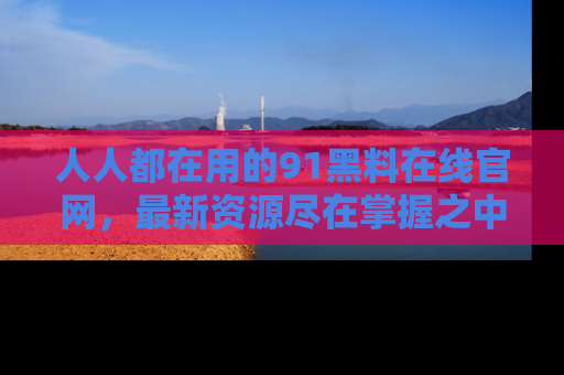 人人都在用的91黑料在线官网，最新资源尽在掌握之中