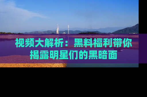 视频大解析：黑料福利带你揭露明星们的黑暗面