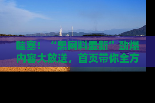 哇塞!“黑网料最新”劲爆内容大放送,首页带你全方位了解哦,小可爱们