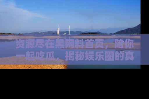 资源尽在黑网料首页,陪你一起吃瓜,揭秘娱乐圈的真实内幕