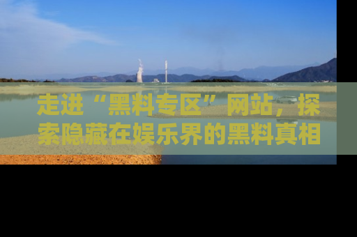 走进“黑料专区”网站,探索隐藏在娱乐界的黑料真相